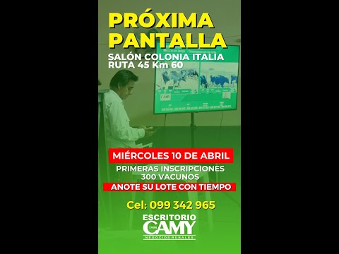 10/04/2024 Escritorio Camy /Salón Colonia Italia /San José