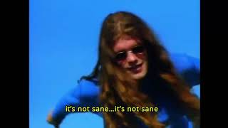 Blind Melon - No Rain - Official music video with Lyrics