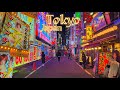 Tokyo Red Light District Shinjuku Kabukicho 歌舞伎町散歩 Japan Walking Tour