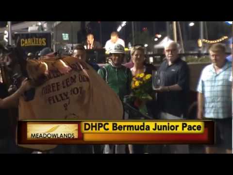 Plunge Blue Chip & Åke Svanstedt wins Del Miller Memorial in 1.49,4 (world record) at Meadowlands