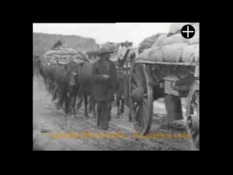 General Buller's Transport Train of Ox-Teams (1900)