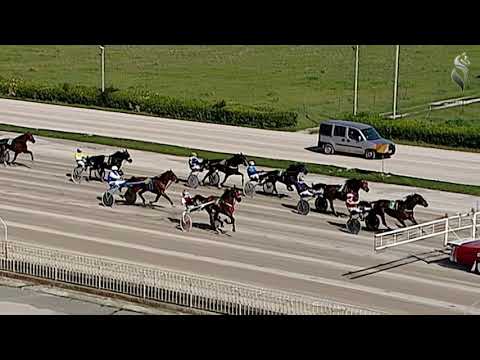 Aversa trotto 13 Marzo - 1° Corsa