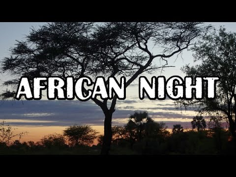 AFRICAN NIGHT SOUNDS, Namibia, near river Ocavango/Ночные звуки Африки