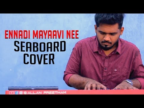 Ennadi Maayavi Nee (Seaboard Cover) - VadaChennai | Allan Preetham