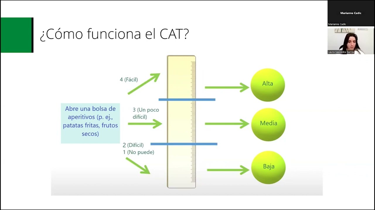 Seminario web de pedicura para gatos