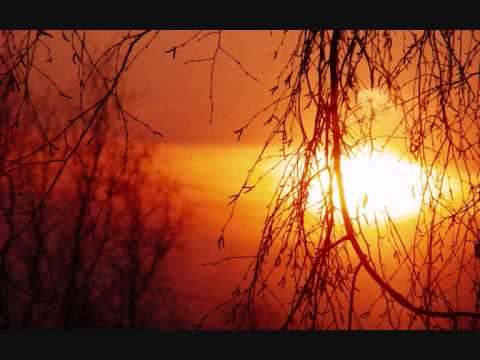 Herbivoros Contaminados - Saltan las alarmas