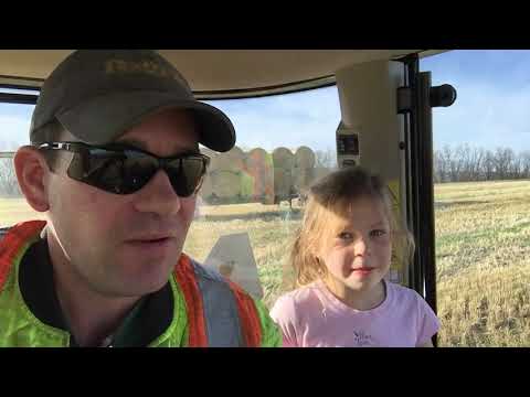 Straw Duty, with my little helper- a Canadian Beekeeper’s Blog