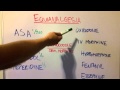 How Strong Are Different Painkillers Equianalgesia Introduction