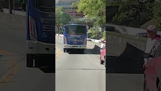 Rolê de Carro Van Escolar, Roll On Roll Off, Ônibus do Tipbus  e Pêssego Transportes 4 7159