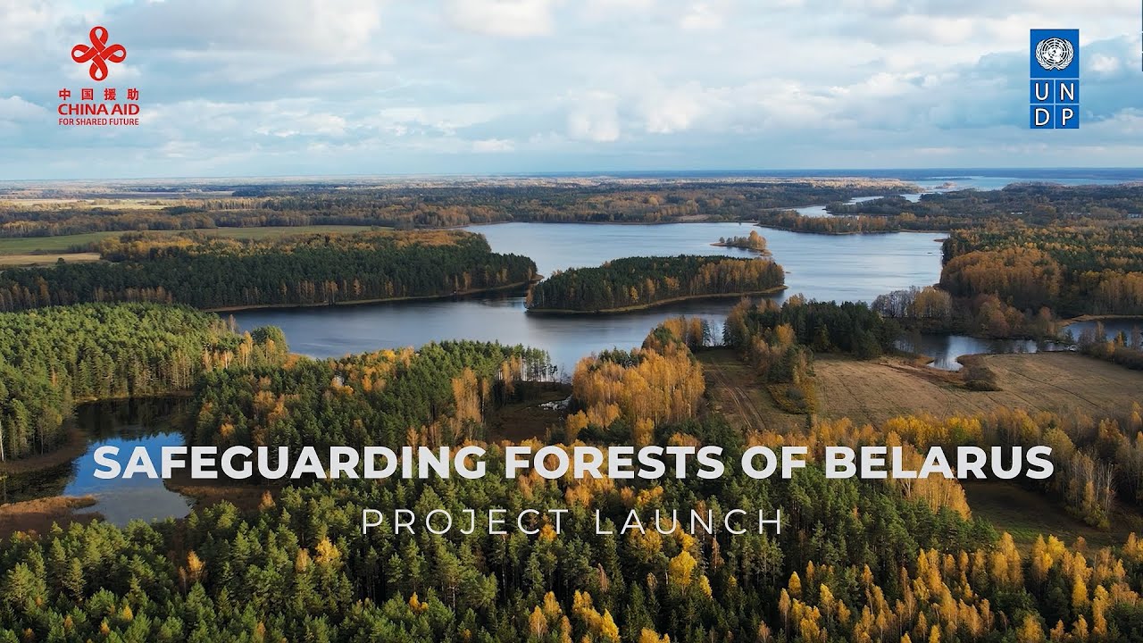 Safeguarding Forests of Belarus: Project Launch