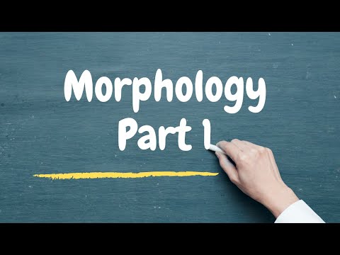 download lagu mp3 mp4 Morphosyntax, download lagu Morphosyntax gratis, unduh video klip Morphosyntax