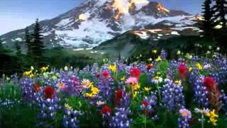 Luca turilli - the Miracle of the life