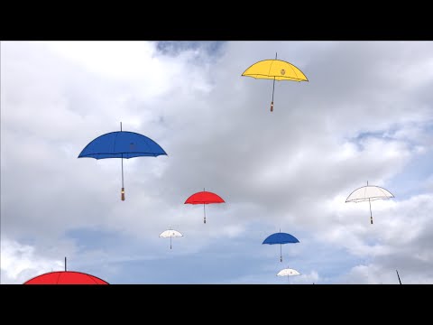 Le Véritable Cherbourg : un parapluie qui résiste au temps