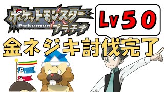 春ネジキ 4th【ポケットモンスタープラチナ・レベル50ネジキ】