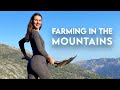 Creating An OFF GRID Paradise MEDITERRANEAN Farm
