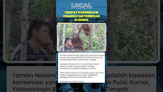 Taman Nasional Tanjung Puting sebagai Habitat Terbesar Orangutan dan Pusat Konservasi Dunia