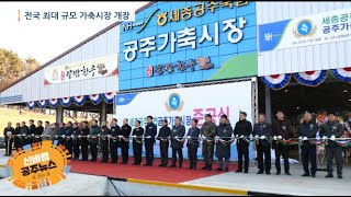신바람 공주뉴스 260호(2021 대백제전, 이통장 아카데미, 청년 네트워크, 자원봉사자의 날, 한우경매시장, 정례브리핑) 이미지
