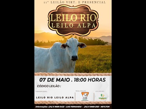 📺🐂11º LEILÃO LEILO RIO LEILO ALPA Rio Paranaíba/MG - LEILO RIO LEILO ALPA 🐂📺