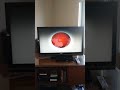 Closing To The Cat In The Hat 2004 DVD