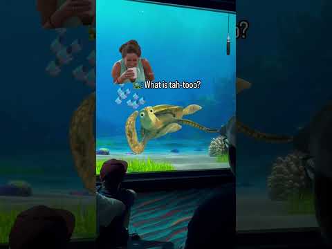 Turtle Talk with Crush | Crush is wondering, what is a Tah-too