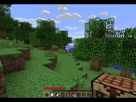 #1 [Minecraft] Našli sme ovce!