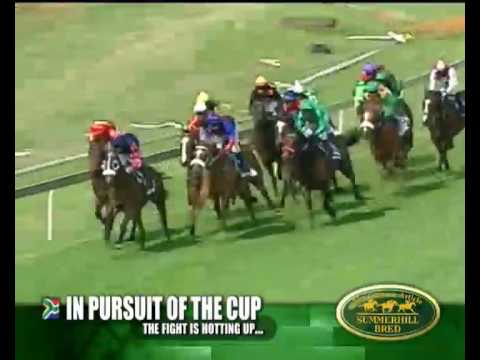 HAVASHA - EMPERORS PALACE READY TO RUN CUP CONTENDER