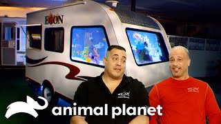 Can this Aquarium Fit in an RV?! | Tanked | Animal Planet