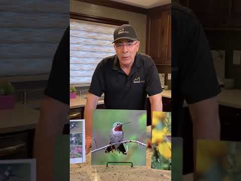 Ken shows off the Broad-tailed Hummingbird
