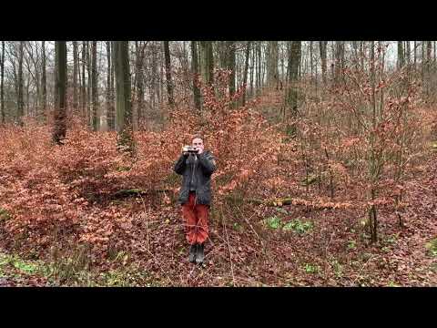 Hörnerklang von M. Patzig Jagdhorn