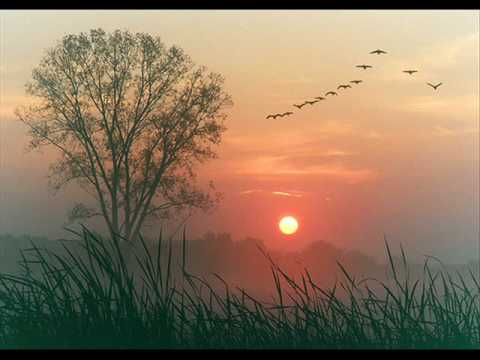 Anne Adams - Suvi on lõppenud