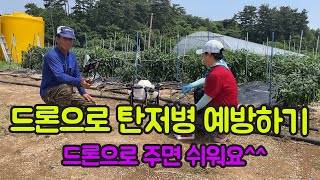 탄저병 예방방법 대공개!!! 드론으로 약 주면 편해요^^