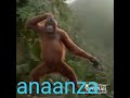 Matako Dance