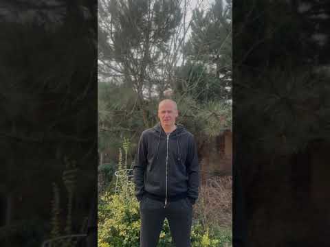 Відгуки monosite