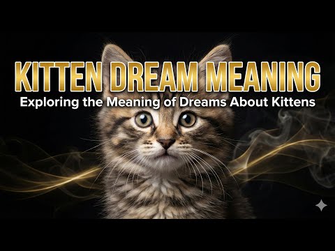 【Dream Interpretation Kitten】 Exploring the Meaning of Dreams About Kittens