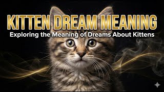 【Dream Interpretation Kitten】 Exploring the Meaning of Dreams About Kittens