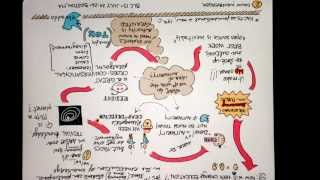 On Sketch Notes