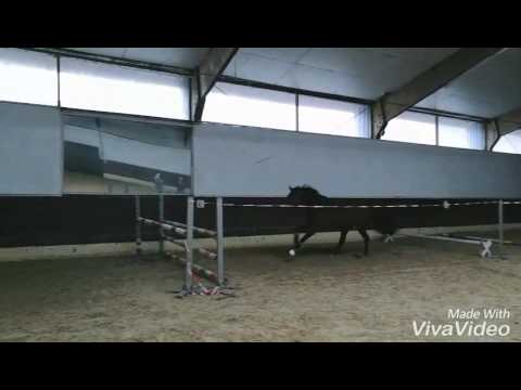 Freispringen l 8.1.2017