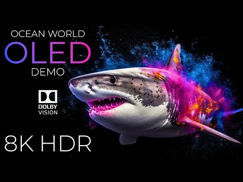 Ocean World OLED Demo HDR 8K Ultra HD