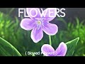 Miley Cyrus FLOWERS Slowed Reverb