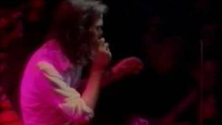 11 nick cave  the bad seeds   new morning live