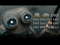 Wire Cutters Animated Short By Jack Anderson