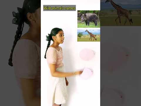 balloon popping ||play with bhargavipriya #trending #shortvideo #video #shorts