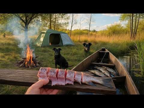 Angeln, Camping auf einer Insel nur mit meinem Hund und meiner Ausrüstung