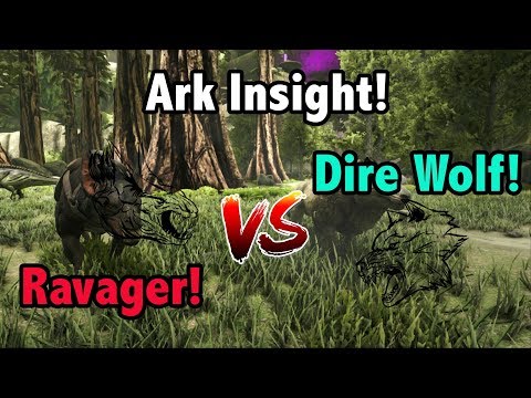 Ark Insight! - Direwolf V.S Ravager!