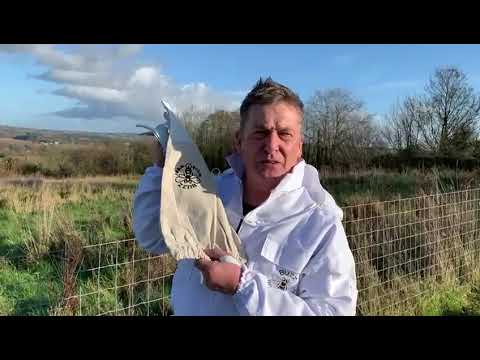 Buzz Work Wear Gloves - what makes them so special?