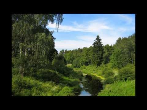 Дина Гарипова  "Россия" (автор Р.К.Ташкалова)