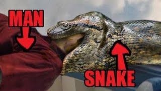Anaconda Eats Man