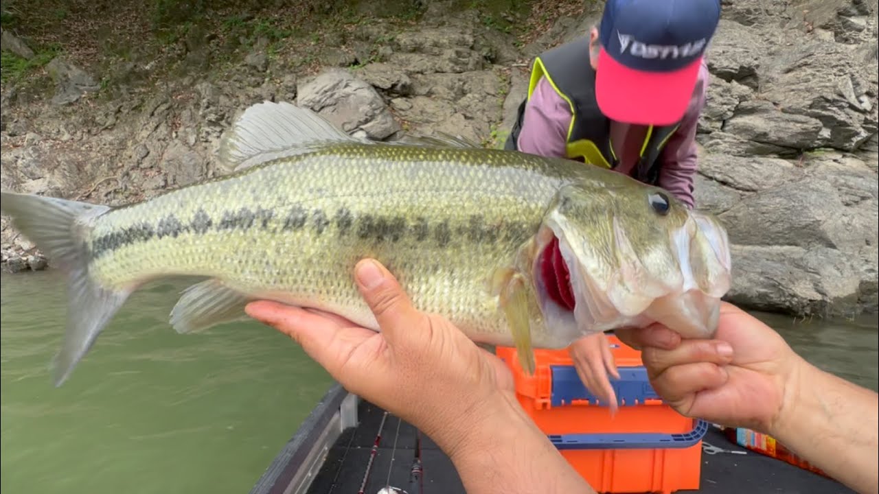 変なプライドを持ったおじさん３人が四国の野池群＋野村ダムを徹底攻略！！