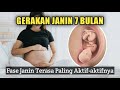 GERAKAN JANIN USIA 7 BULAN Fase Janin Paling Aktif Di Dalam Perut Ibu Hamil