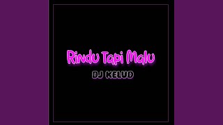 Download lagu DJ RINDU TAPI MALU mp3 Download lagu DJ RINDU TAPI MALU mp3